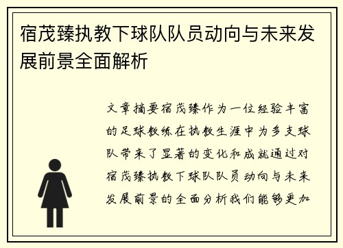 宿茂臻执教下球队队员动向与未来发展前景全面解析