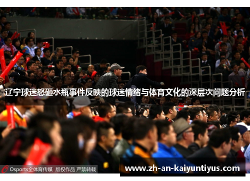 辽宁球迷怒砸水瓶事件反映的球迷情绪与体育文化的深层次问题分析