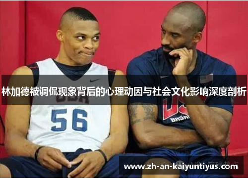 林加德被调侃现象背后的心理动因与社会文化影响深度剖析