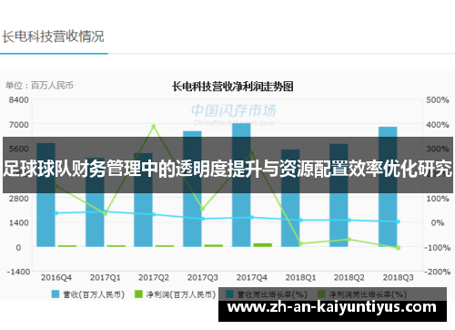 足球球队财务管理中的透明度提升与资源配置效率优化研究